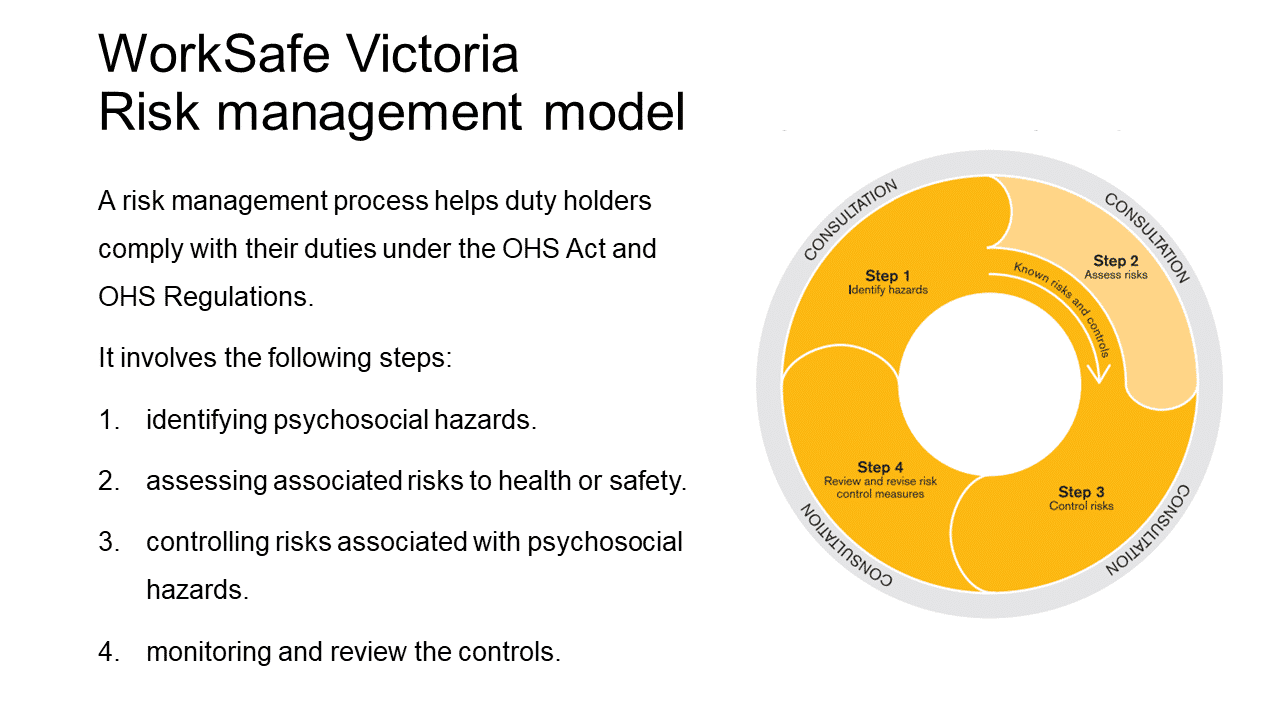 Risk Management Model